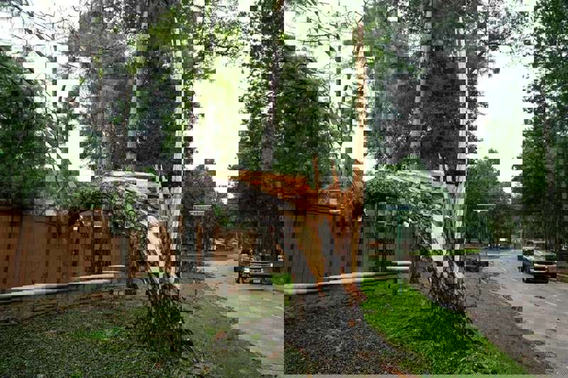 Men josuslik qildim va uni ekdim