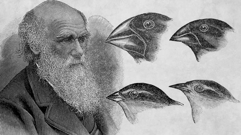 Evrim İhtilafında Yeni Bir Aşama: Biyoloji Müfredatında Yaratılış