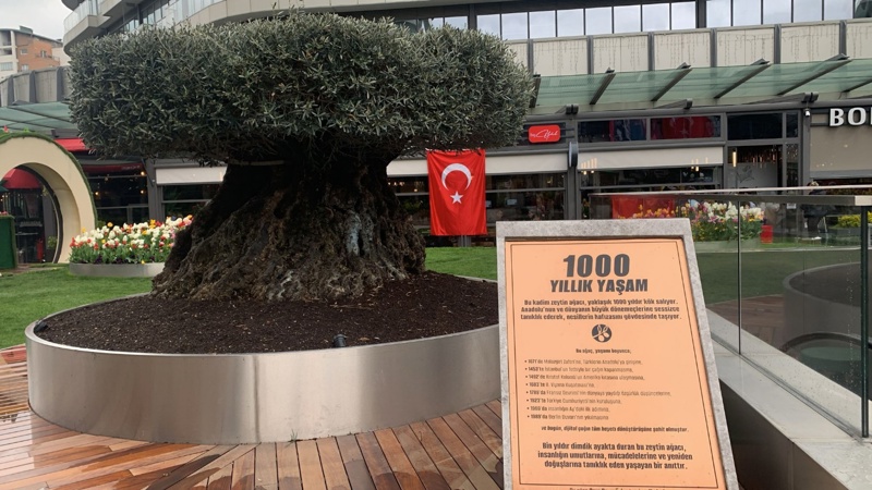 Yabancılaşma ve AVM Bahçesindeki Bin Yıllık Yaşam Üzerine