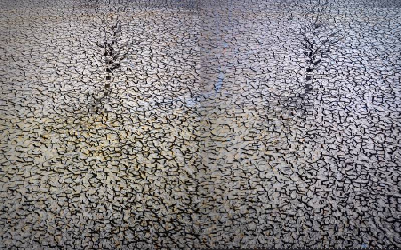 Kuraklık: Bir Sonraki Pandemi  - İklim, Su ve Geciken Siyasetin Ortak Krizi