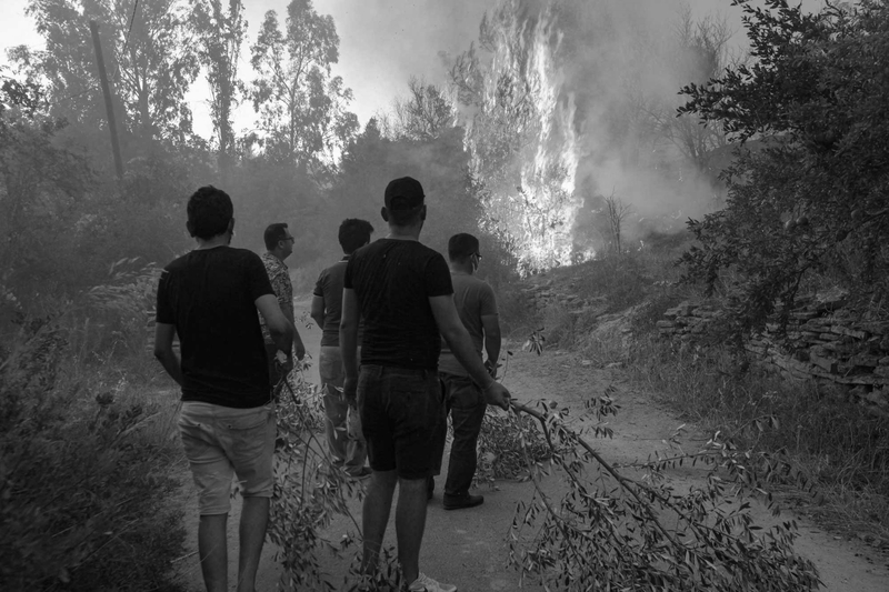 Avrupa Yeşil Mutabakatı Proje Hibe Çağrısında Orman Yangınları
