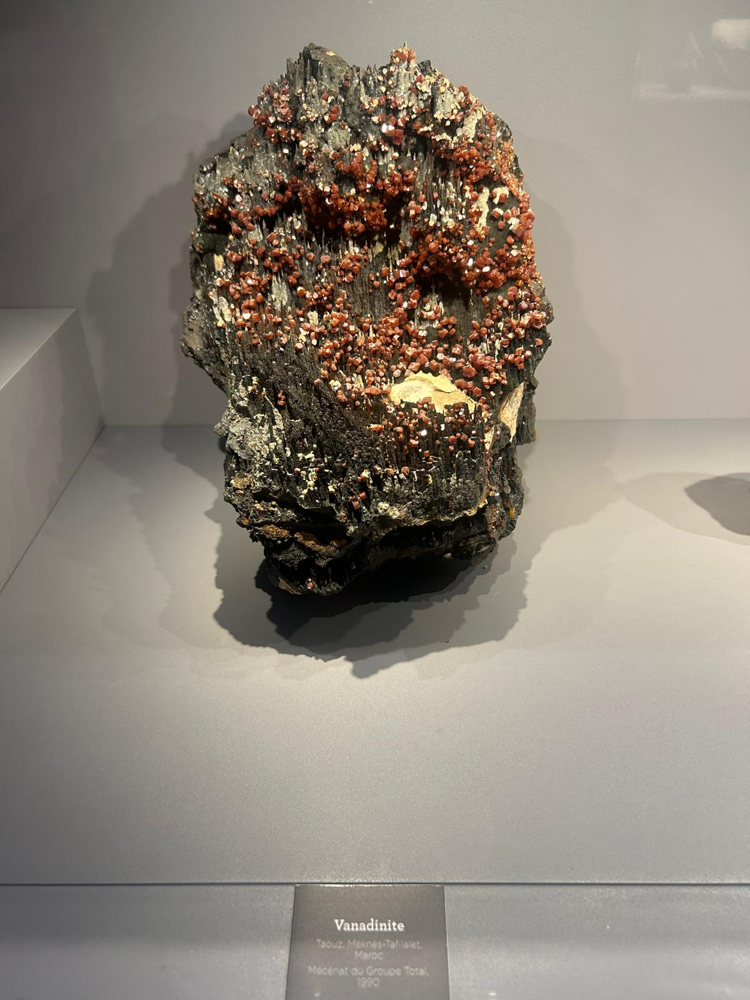 M.Ö. 4004’ten Derin Zamana: Bilimin Dönüştürdüğü Kutsal Dünya Görüşü